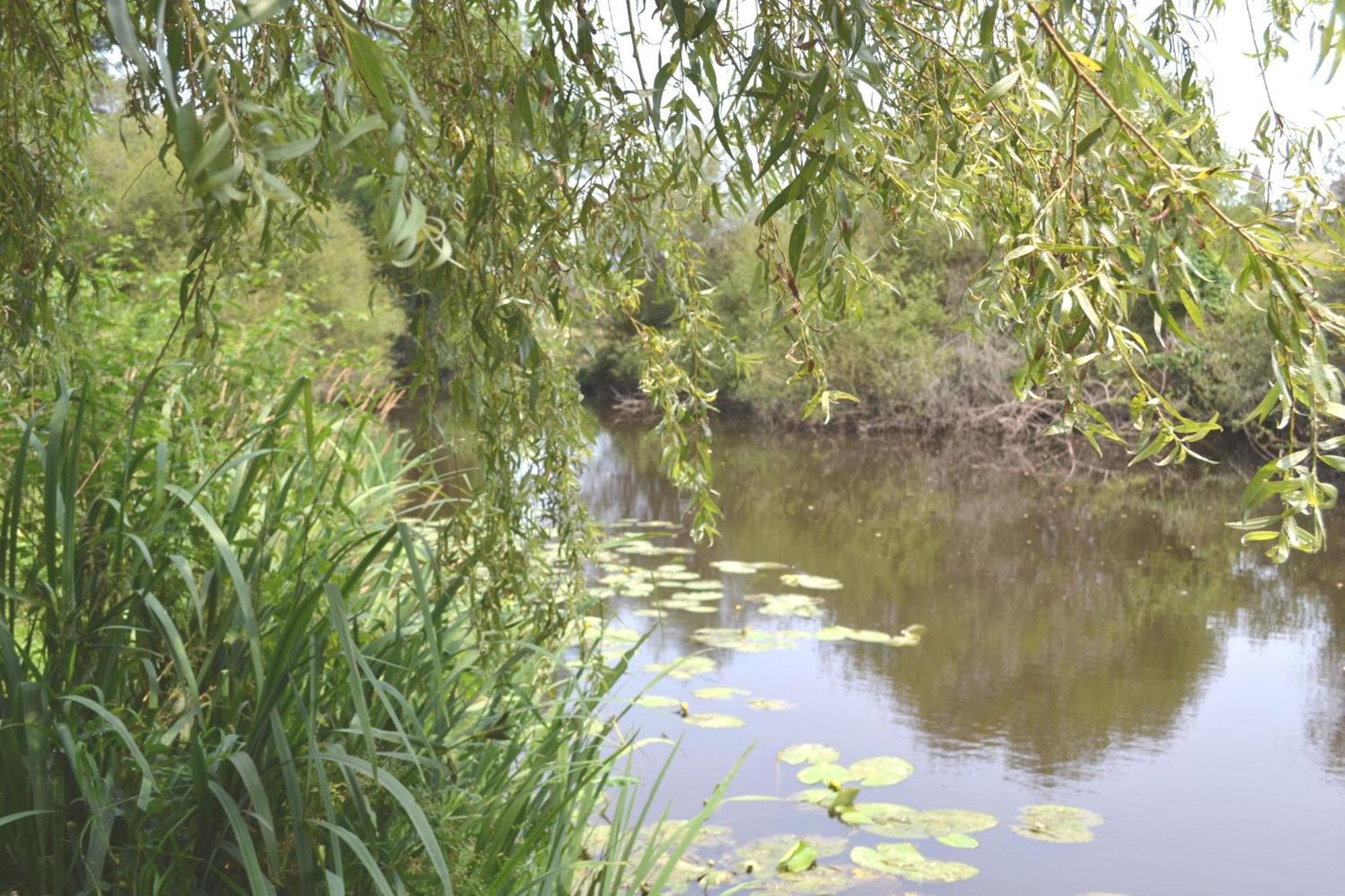 Les Bruyeres B&B Montbron Luaran gambar